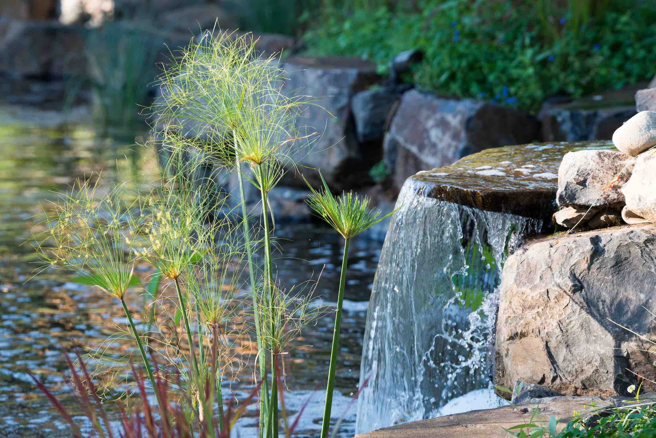 A view of awaterfall in the duck pondat Country Willows Inn and Estate in Ashland, Oregon creates a peaceful spot to relax along a walking trail.